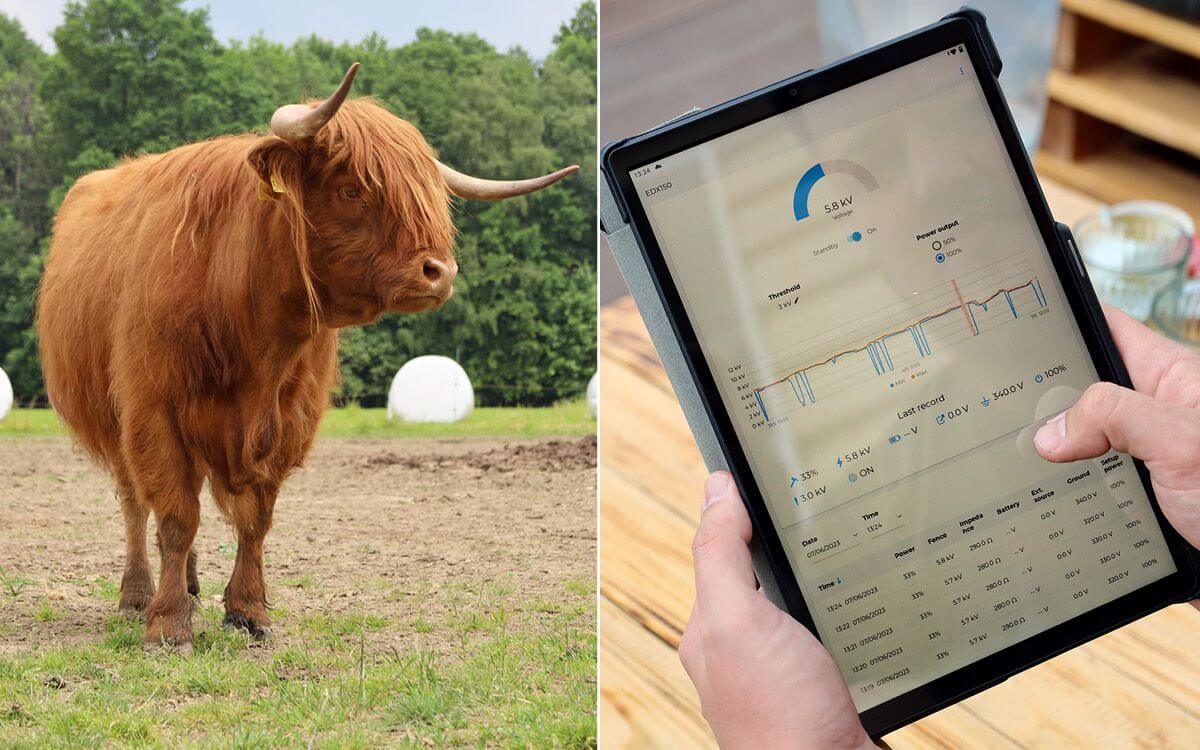 Smart Farm fencee Cloud v podhorí Beskýd na rodinnej farme u Velšov